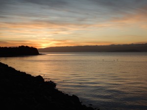 Wellington - Picton-004